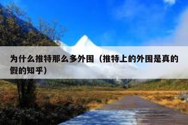 为什么推特那么多外围（推特上的外围是真的假的知乎） 第1张