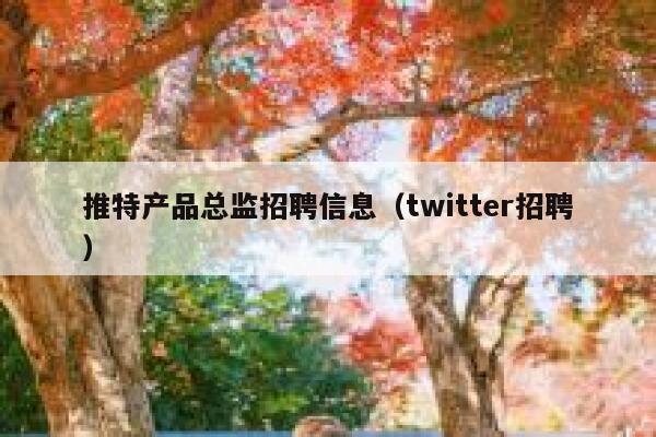 推特产品总监招聘信息（twitter招聘） 第1张