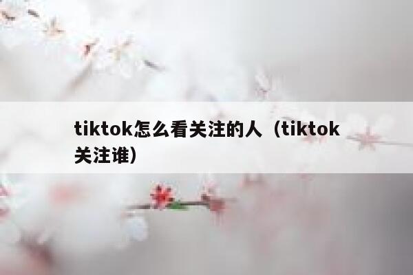 tiktok怎么看关注的人（tiktok关注谁） 第1张