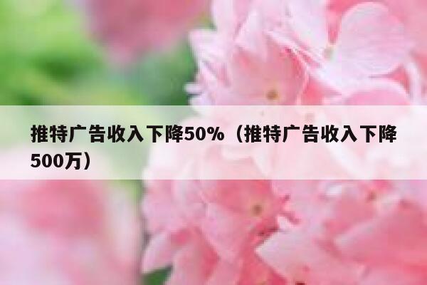 推特广告收入下降50%（推特广告收入下降500万） 第1张