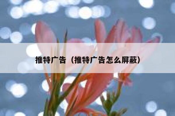 推特广告（推特广告怎么屏蔽） 第1张