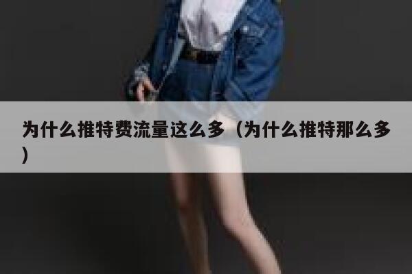 为什么推特费流量这么多（为什么推特那么多） 第1张