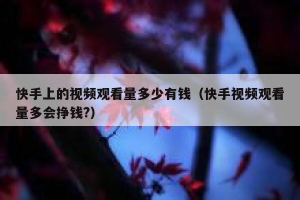 快手上的视频观看量多少有钱（快手视频观看量多会挣钱?） 第1张