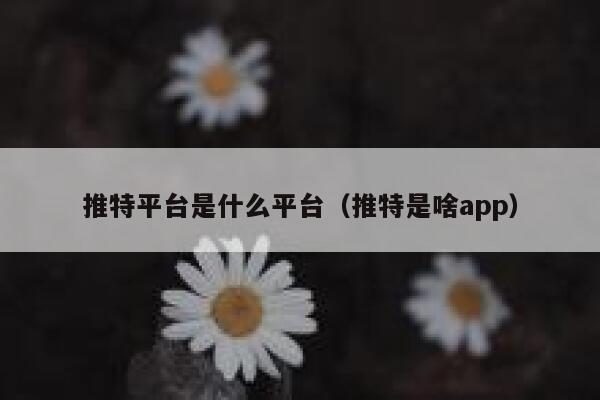 推特平台是什么平台（推特是啥app） 第1张