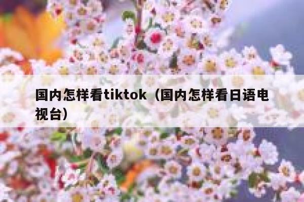 国内怎样看tiktok（国内怎样看日语电视台） 第1张