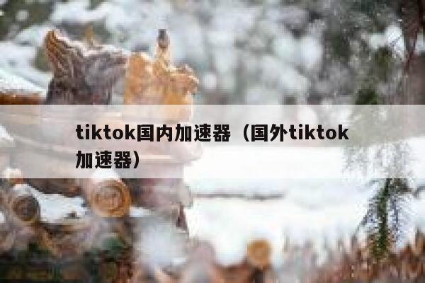 tiktok国内加速器(国外tiktok加速器) 第1张 tiktok国内加速器(国外tiktok加速器) 第1张