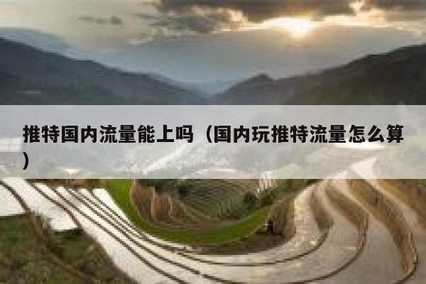 推特国内流量能上吗(国内玩推特流量怎么算) 第1张 推特国内流量能上吗(国内玩推特流量怎么算) 第1张