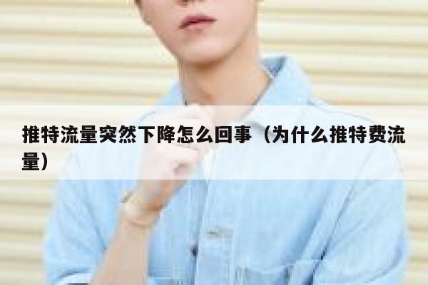 推特流量突然下降怎么回事(为什么推特费流量) 第1张 推特流量突然下降怎么回事(为什么推特费流量) 第1张