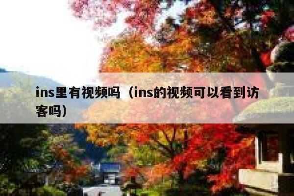 ins里有视频吗(ins的视频可以看到访客吗) 第1张 ins里有视频吗(ins的视频可以看到访客吗) 第1张