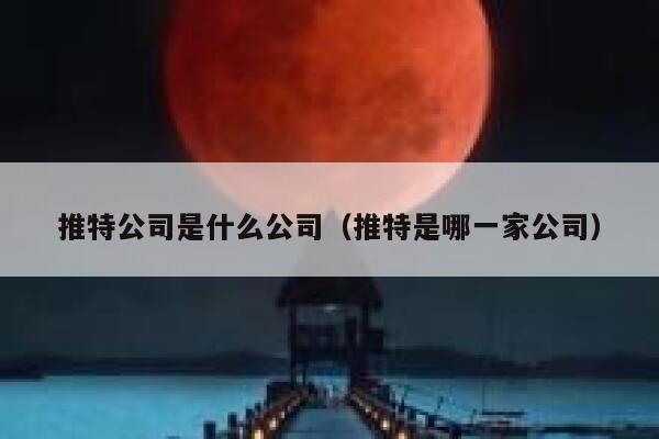 推特公司是什么公司（推特是哪一家公司） 第1张