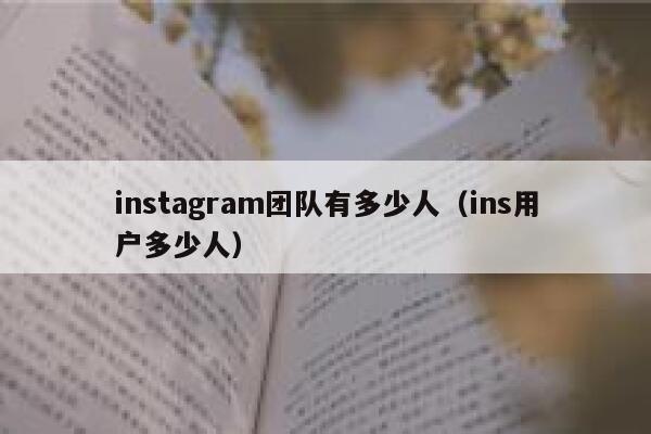 instagram团队有多少人（ins用户多少人） 第1张