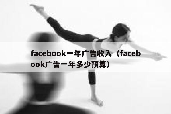 facebook一年广告收入（facebook广告一年多少预算） 第1张
