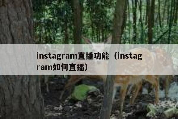 instagram直播功能（instagram如何直播） 第1张