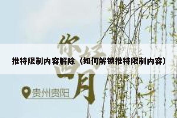 推特限制内容解除（如何解锁推特限制内容） 第1张