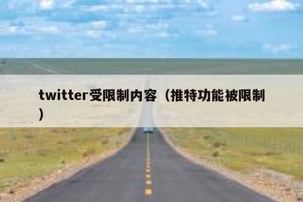 twitter受限制内容（推特功能被限制） 第1张