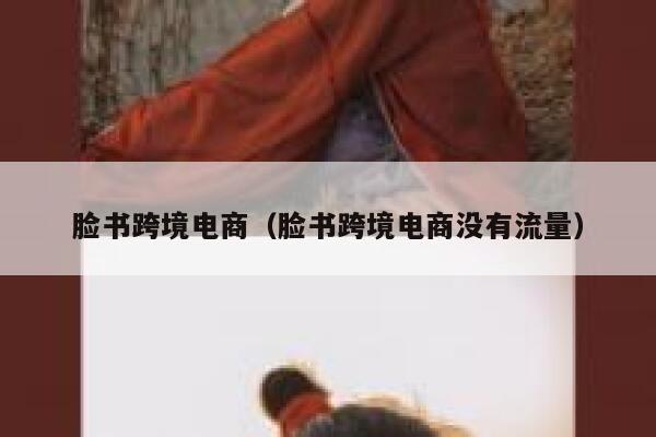 脸书跨境电商（脸书跨境电商没有流量） 第1张