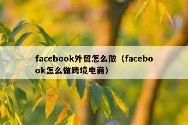 facebook外贸怎么做（facebook怎么做跨境电商） 第1张