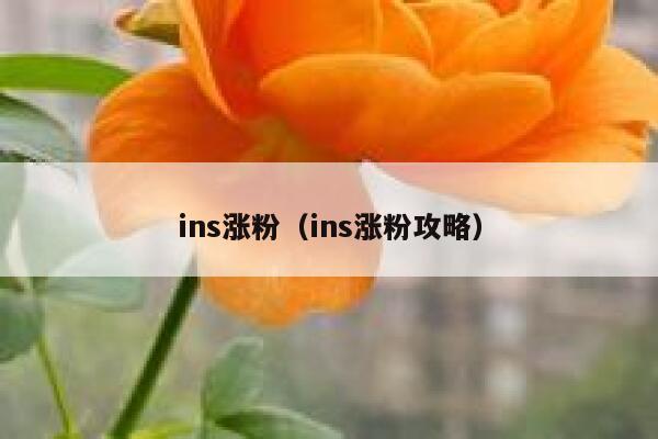 ins涨粉（ins涨粉攻略） 第1张