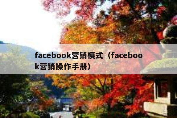 facebook营销模式（facebook营销操作手册） 第1张