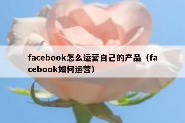 facebook怎么运营自己的产品（facebook如何运营） 第1张