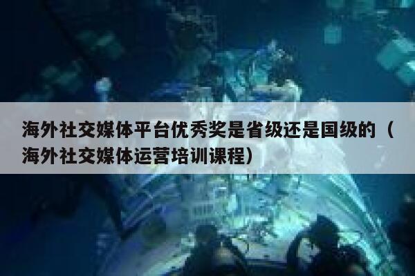 海外社交媒体平台优秀奖是省级还是国级的（海外社交媒体运营培训课程） 第1张