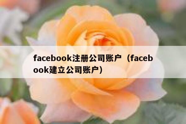 facebook注册公司账户（facebook建立公司账户） 第1张