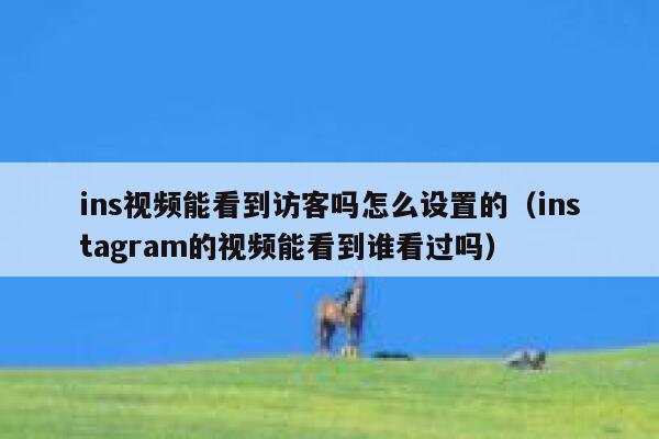 ins视频能看到访客吗怎么设置的（instagram的视频能看到谁看过吗） 第1张