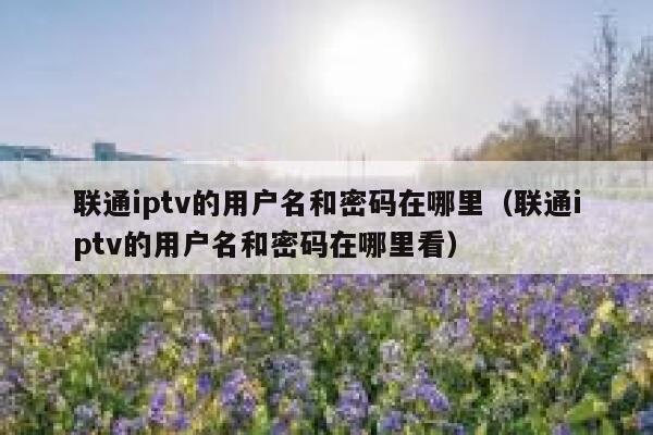 联通iptv的用户名和密码在哪里（联通iptv的用户名和密码在哪里看） 第1张