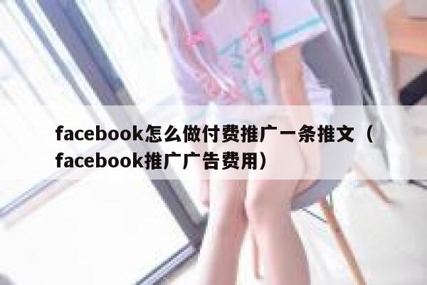 facebook怎么做付费推广一条推文（facebook推广广告费用） 第1张