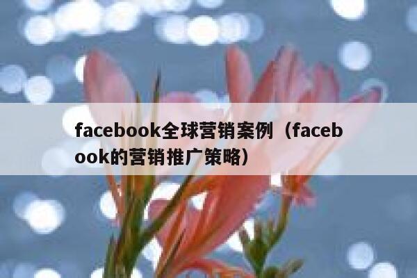 facebook全球营销案例（facebook的营销推广策略） 第1张