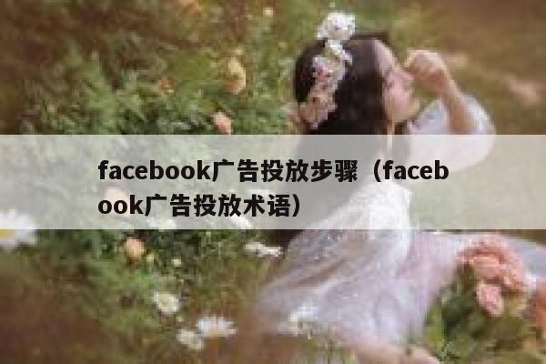 facebook广告投放步骤（facebook广告投放术语） 第1张
