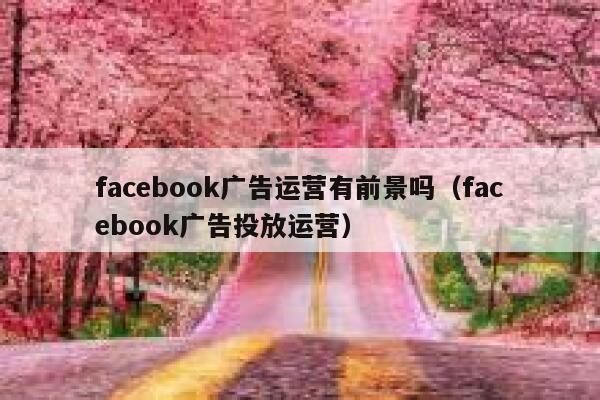 facebook广告运营有前景吗（facebook广告投放运营） 第1张