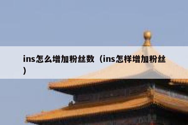 ins怎么增加粉丝数（ins怎样增加粉丝） 第1张