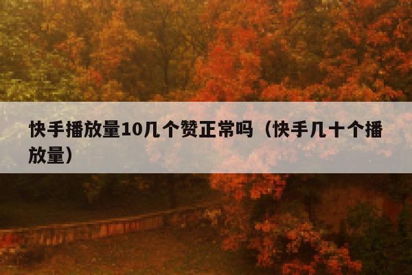 快手播放量10几个赞正常吗（快手几十个播放量） 第1张