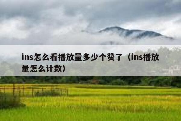 ins怎么看播放量多少个赞了（ins播放量怎么计数） 第1张
