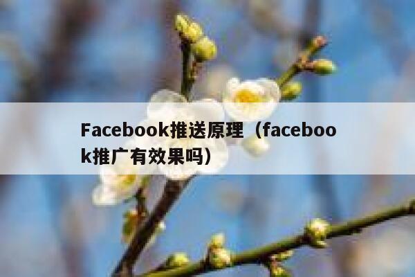 Facebook推送原理（facebook推广有效果吗） 第1张