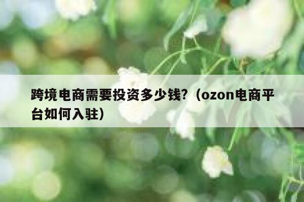 跨境电商需要投资多少钱?（ozon电商平台如何入驻） 第1张