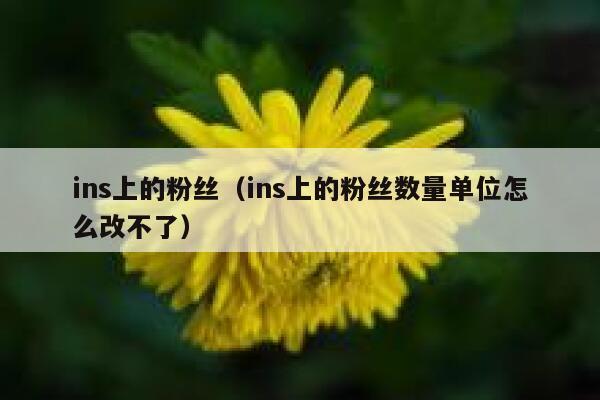 ins上的粉丝（ins上的粉丝数量单位怎么改不了） 第1张