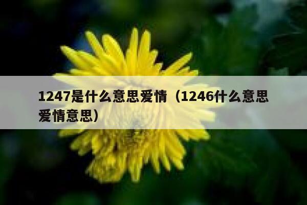 1247是什么意思爱情（1246什么意思爱情意思） 第1张