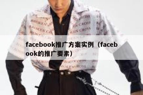 facebook推广方案实例（facebook的推广要素） 第1张