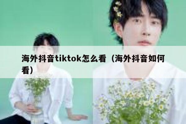 海外抖音tiktok怎么看（海外抖音如何看） 第1张