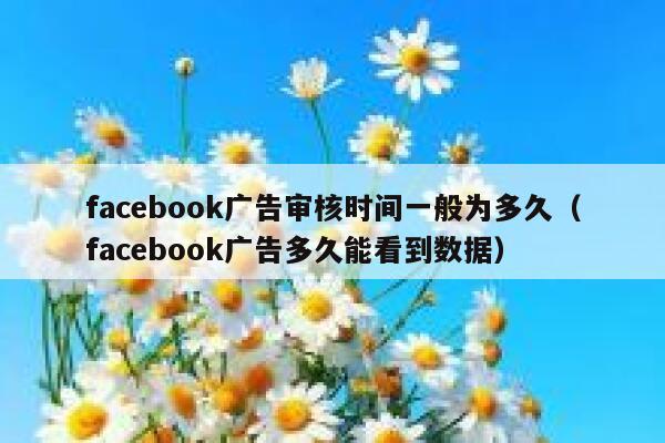 facebook广告审核时间一般为多久（facebook广告多久能看到数据） 第1张