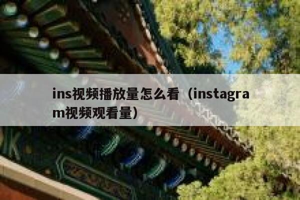 ins视频播放量怎么看(instagram视频观看量) 第1张 ins视频播放量怎么看(instagram视频观看量) 第1张