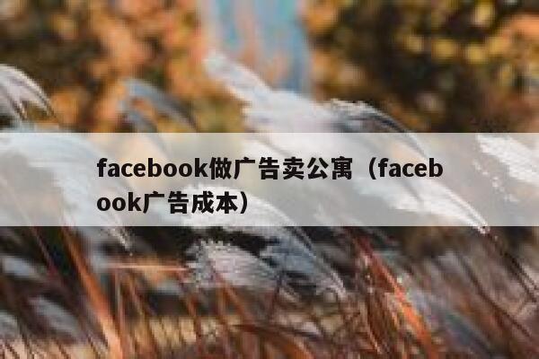 facebook做广告卖公寓（facebook广告成本） 第1张