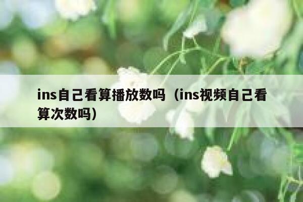ins自己看算播放数吗(ins视频自己看算次数吗) 第1张 ins自己看算播放数吗(ins视频自己看算次数吗) 第1张