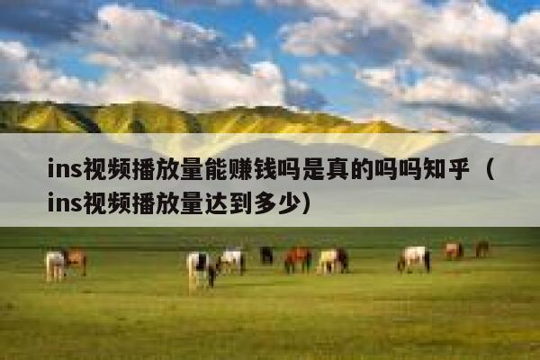 ins视频播放量能赚钱吗是真的吗吗知乎（ins视频播放量达到多少） 第1张