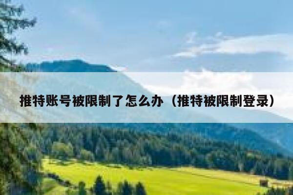 推特账号被限制了怎么办(推特被限制登录) 第1张 推特账号被限制了怎么办(推特被限制登录) 第1张