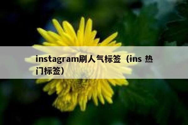 instagram刷人气标签(ins 热门标签) 第1张 instagram刷人气标签(ins 热门标签) 第1张