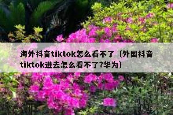 海外抖音tiktok怎么看不了(外国抖音tiktok进去怎么看不了?华为) 第1张 海外抖音tiktok怎么看不了(外国抖音tiktok进去怎么看不了?华为) 第1张
