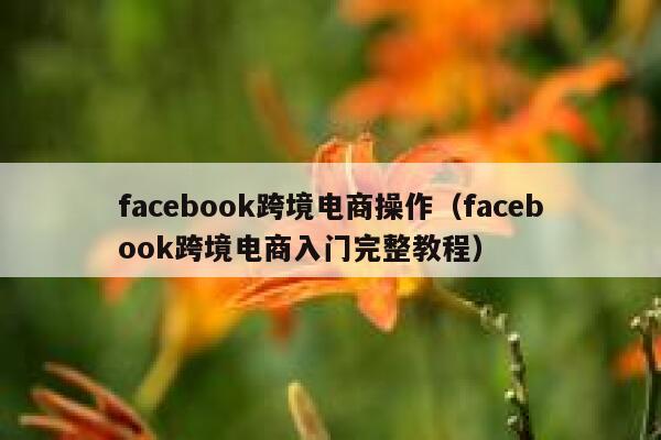 facebook跨境电商操作（facebook跨境电商入门完整教程） 第1张